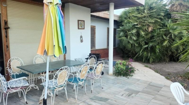 Alicante - Novelda - 14000m2