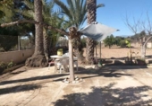 Xalet independent amb terreny en venda a la España, Benidorm, ref.: TR381336 foto
