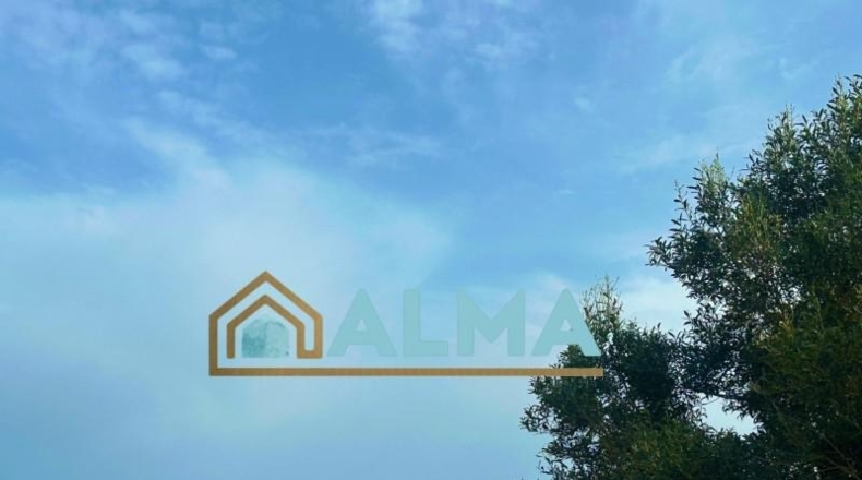 Cádiz - Альхесирас - 950m2