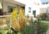 Chalet independiente con terreno en venta en la España, Es Castell, ref: TR316400 foto