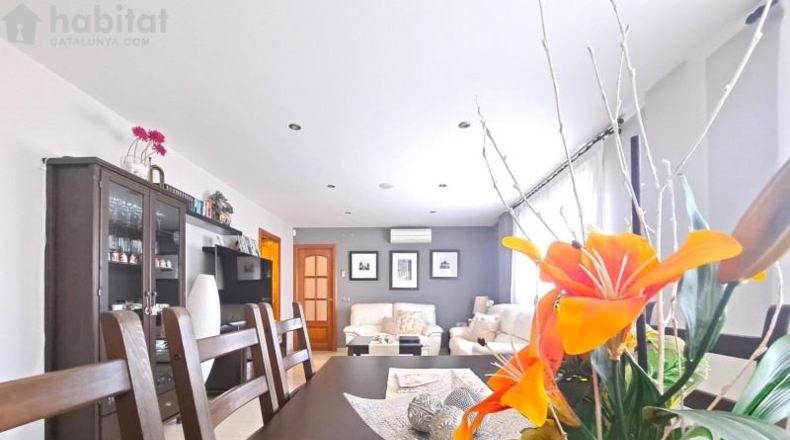 Barcelona - Sant Esteve Sesrovires - 490m2