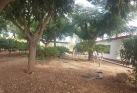 Foto 17