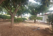 Casa de camp amb terreny en venda a la España, Vinaròs, ref.: TR145503 foto