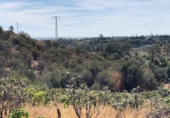 Xalet independent amb terreny en venda a la España, Estepona, ref.: TR145887 foto