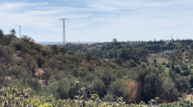 Málaga - Estepona - 19800m2