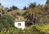 Xalet independent amb terreny en venda a la España, Estepona, ref.: TR145887 foto
