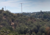 Xalet independent amb terreny en venda a la España, Estepona, ref.: TR145887 foto