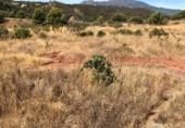 Xalet independent amb terreny en venda a la España, Estepona, ref.: TR145887 foto