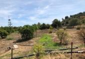 Xalet independent amb terreny en venda a la España, Estepona, ref.: TR145887 foto