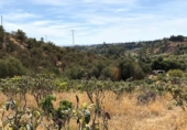 Xalet independent amb terreny en venda a la España, Estepona, ref.: TR145887 foto