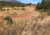 Xalet independent amb terreny en venda a la España, Estepona, ref.: TR145887 foto