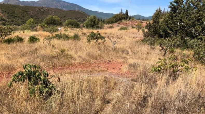 Málaga - Estepona - 19800m2