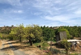 Foto 19