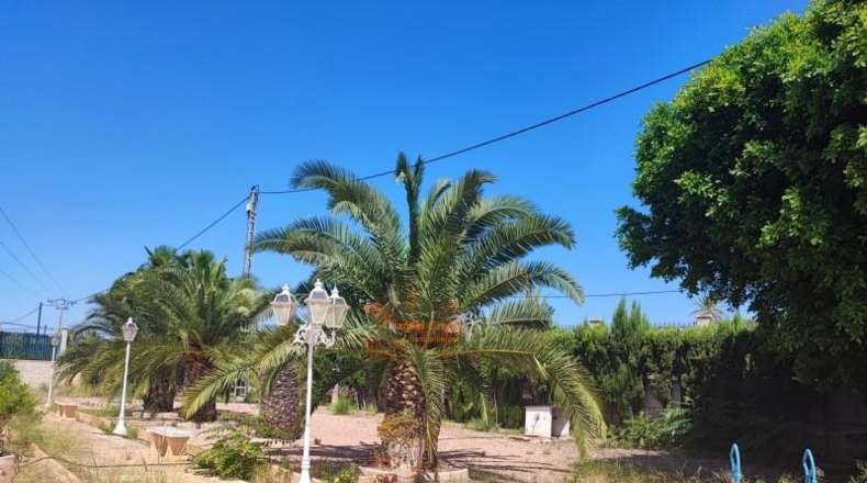 Alicante - Elche - 2788m2