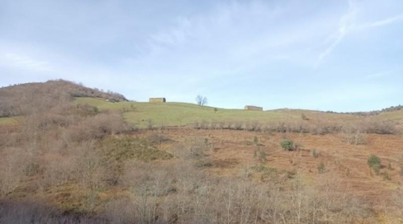 Cantàbria - Riclones - 95350m2