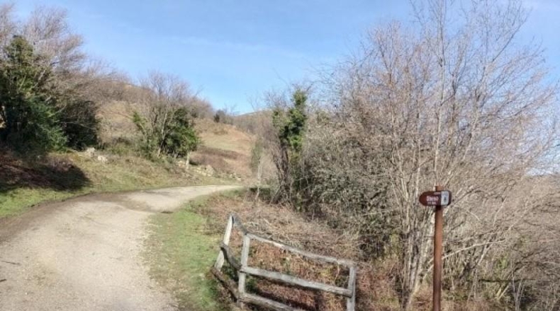 Cantàbria - Riclones - 95350m2