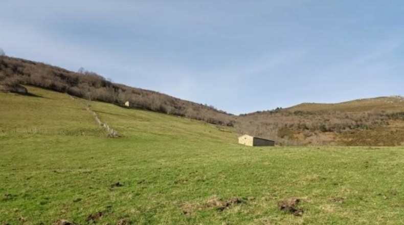 Cantàbria - Riclones - 95350m2