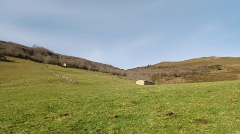 Cantàbria - Riclones - 95350m2