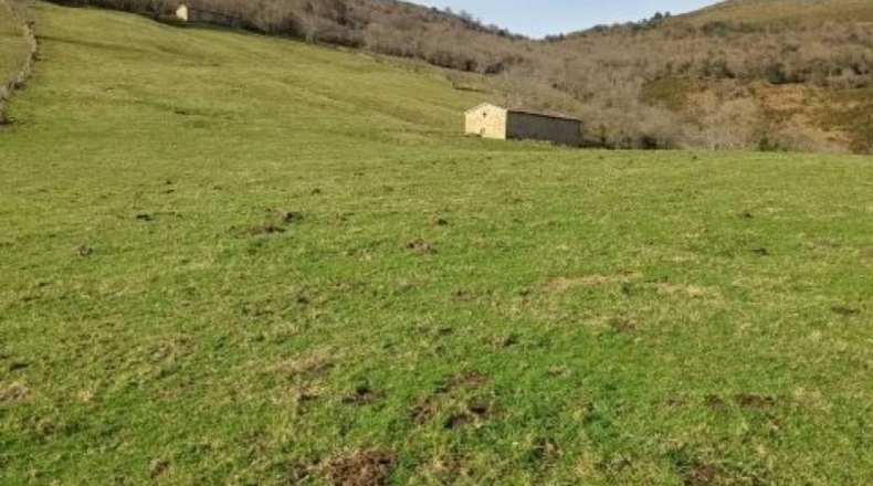 Cantàbria - Riclones - 95350m2