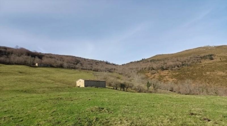 Cantàbria - Riclones - 95350m2