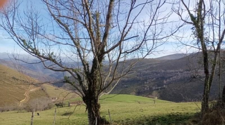 Cantàbria - Riclones - 95350m2