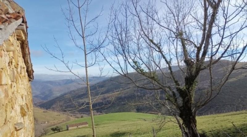 Cantàbria - Riclones - 95350m2