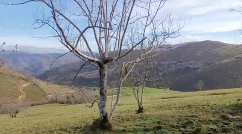 Cantàbria - Riclones - 95350m2