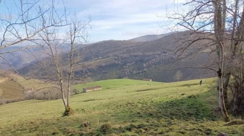 Cantàbria - Riclones - 95350m2