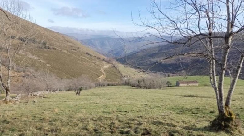 Cantàbria - Riclones - 95350m2