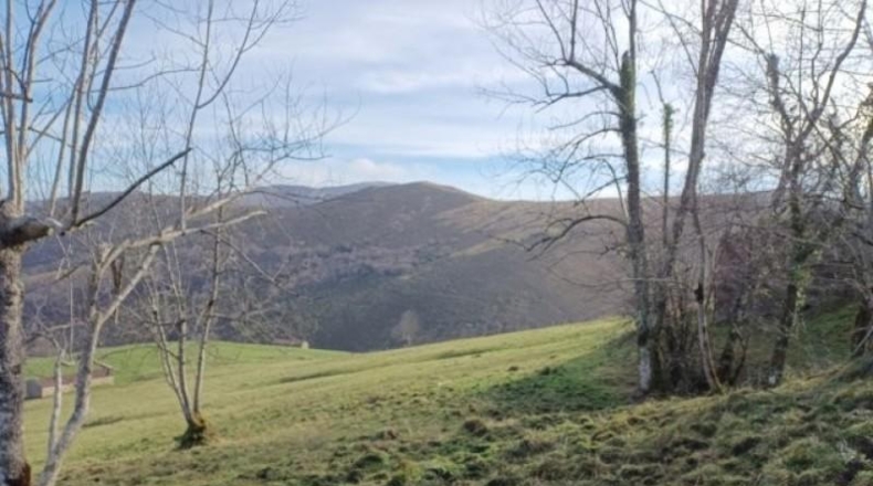 Cantàbria - Riclones - 95350m2
