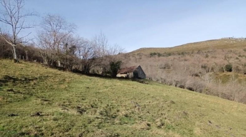 Cantàbria - Riclones - 95350m2