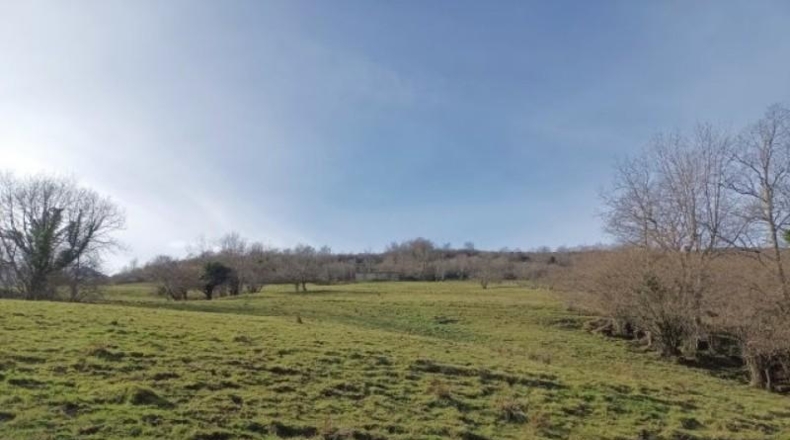 Cantàbria - Riclones - 95350m2
