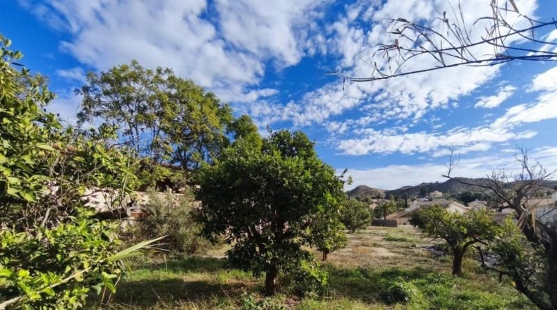 Alicante - Busot - 2800m2