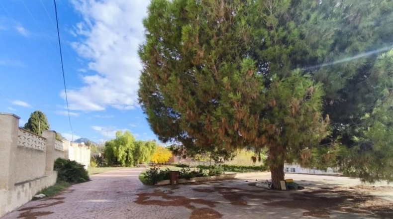 Alicante - Busot - 2800m2