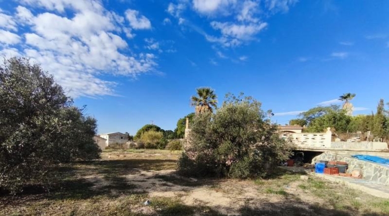Alicante - Busot - 2800m2