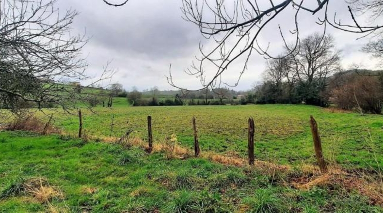Cantabria - Barrio El Cerro - 101011m2