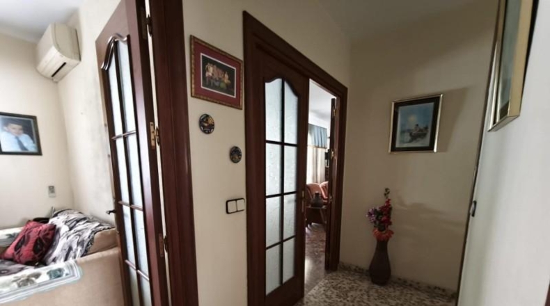 Málaga - Málaga - 260m2