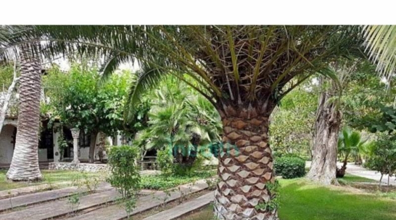 Tarragona - Valls - 8000m2