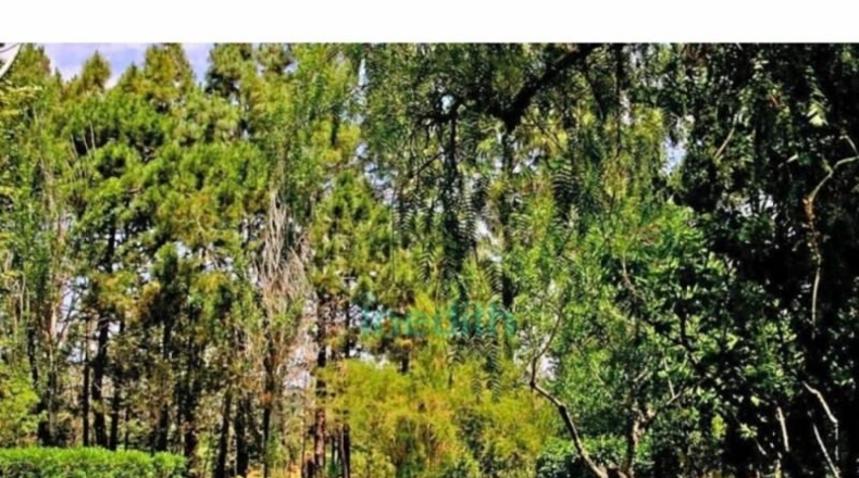 Tarragona - Valls - 8000m2