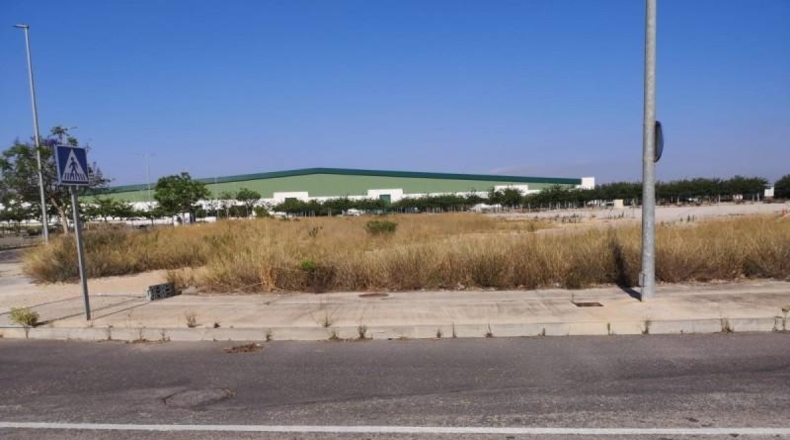 Alicante - Dolores - 8253m2