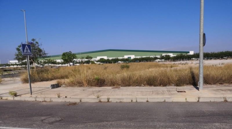 Alicante - Dolores - 8253m2