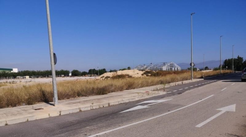 Alicante - Dolores - 8253m2