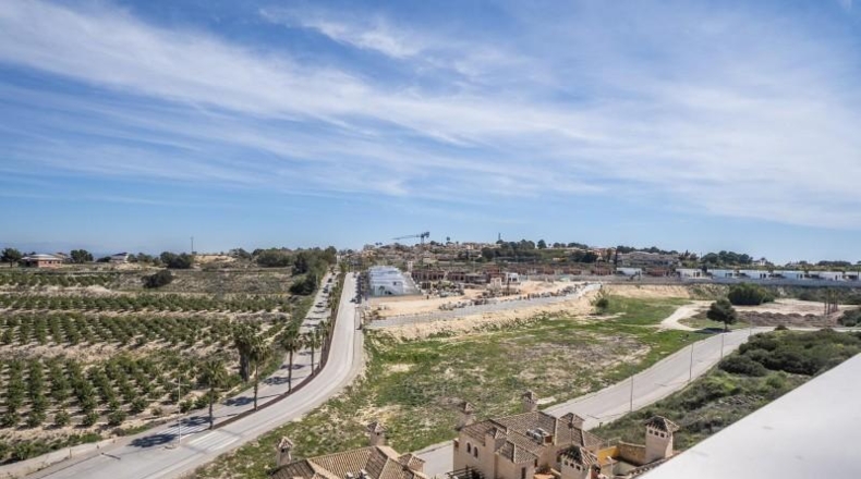 Alicante - Algorfa - 238m2