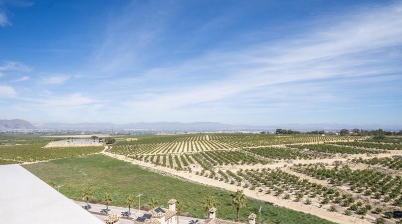 Alicante - Algorfa - 238m2