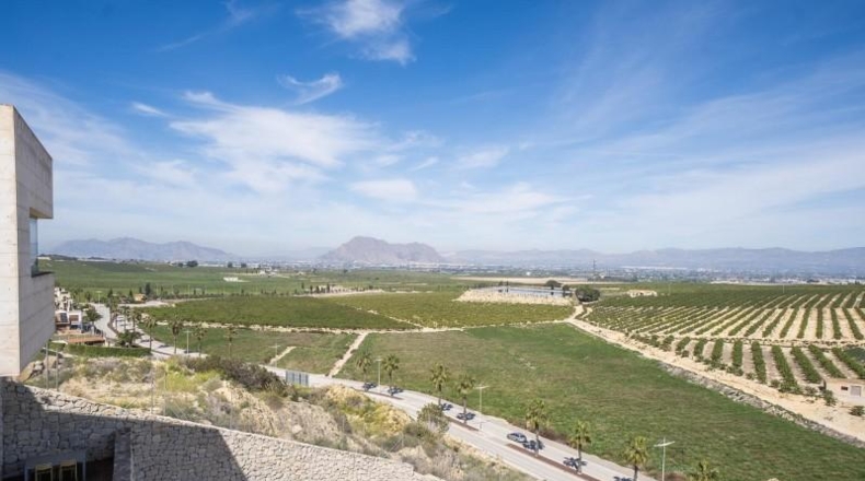 Alicante - Algorfa - 238m2