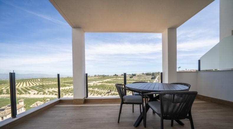 Alicante - Algorfa - 238m2