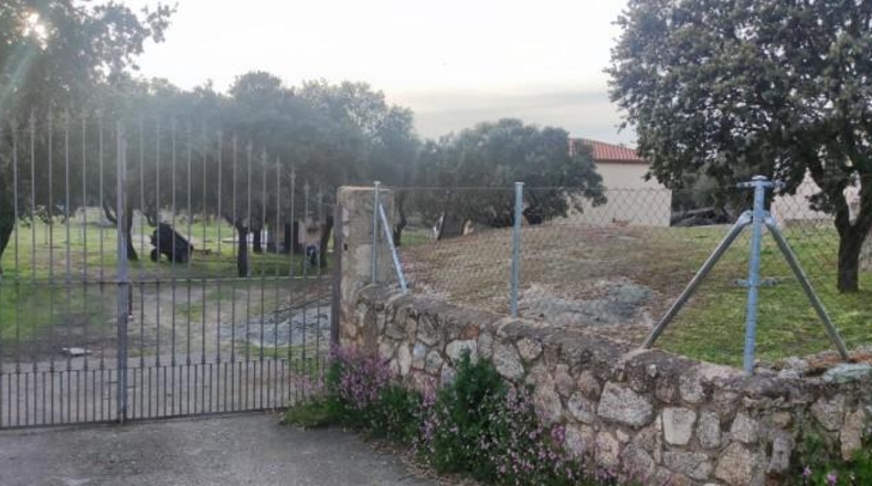 Cáceres - Torreorgaz - 14000m2
