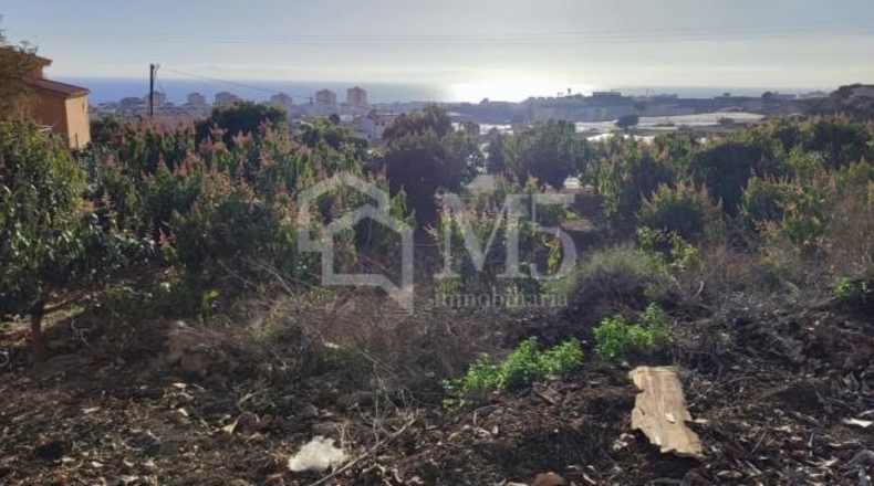 Málaga - Torrox - 1655m2