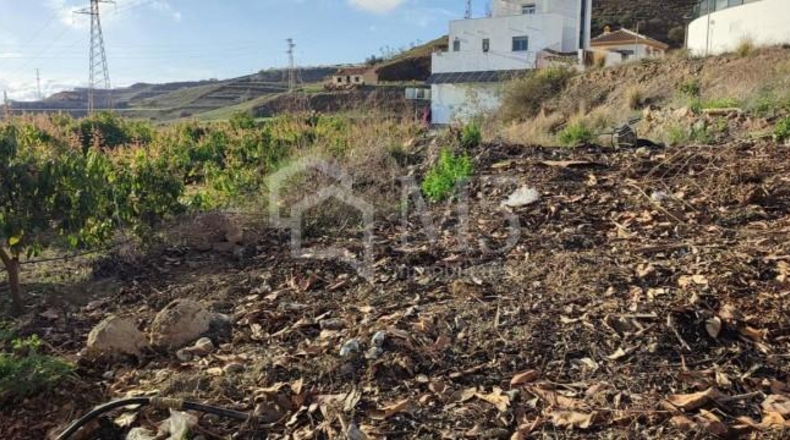 Málaga - Torrox - 1655m2