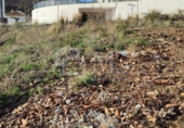 Suelo urbano en venta en la España, Torrox Park, ref: TR128113 foto